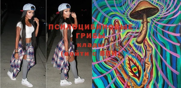 прущая мука Белая Холуница