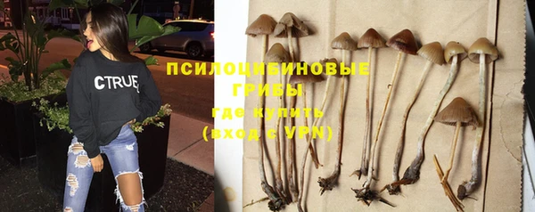 2c-b Михайлов