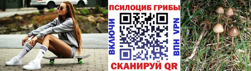 Псилоцибиновые грибы Magic Shrooms  как найти закладки  Дудинка 